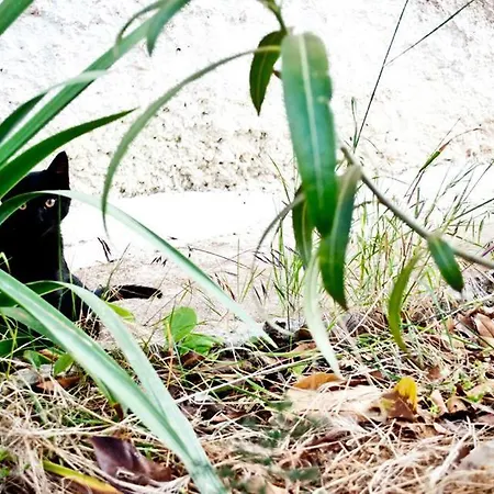 Parco Alta Murgia Nocleg ze śniadaniem Cassano delle Murge