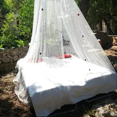 Parco Alta Murgia 卡萨诺德莱穆尔杰