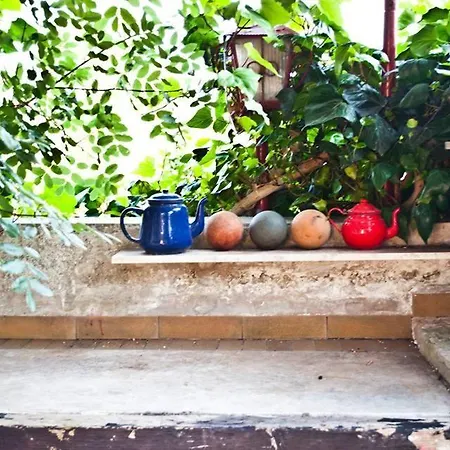 Parco Alta Murgia 卡萨诺德莱穆尔杰