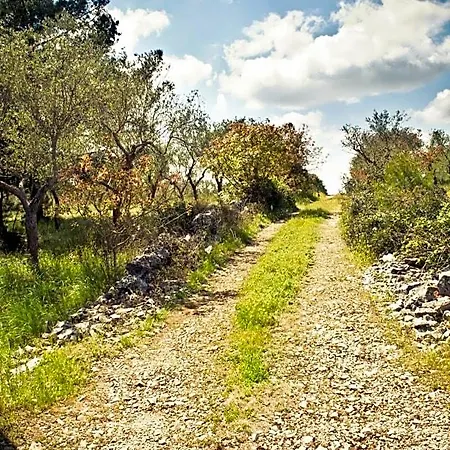 Parco Alta Murgia Cassano delle Murge