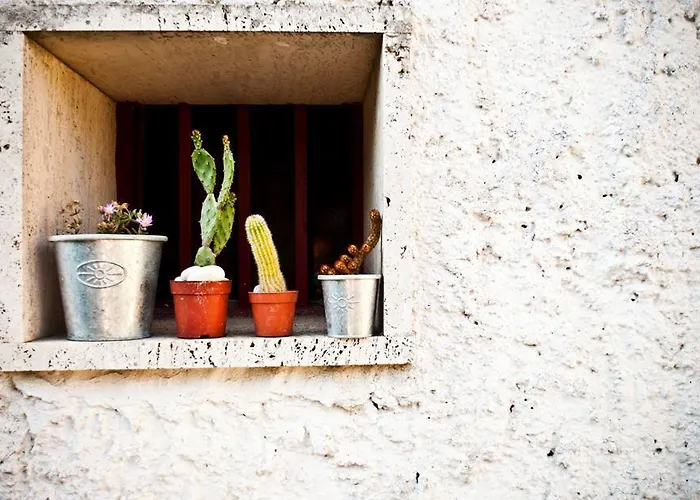 Parco Alta Murgia Bed and Breakfast